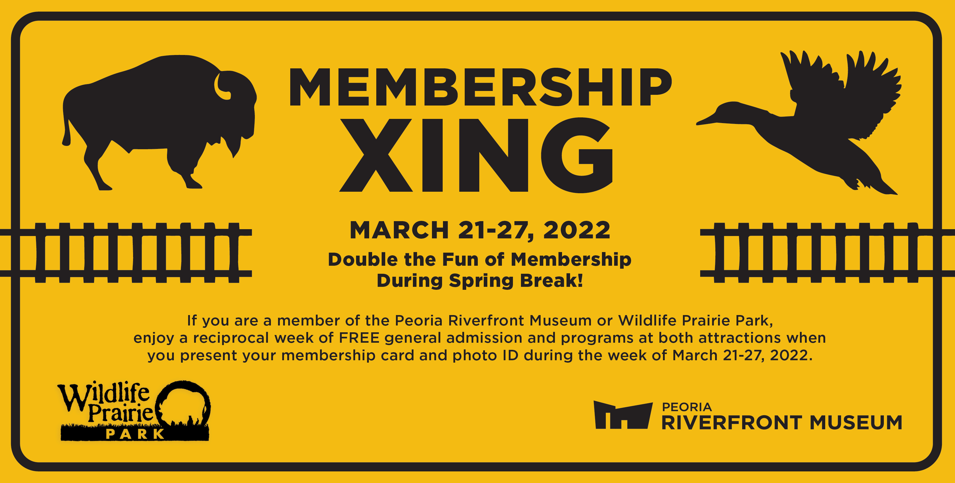 Preview Lightbox Membership Xing 22 Rev3