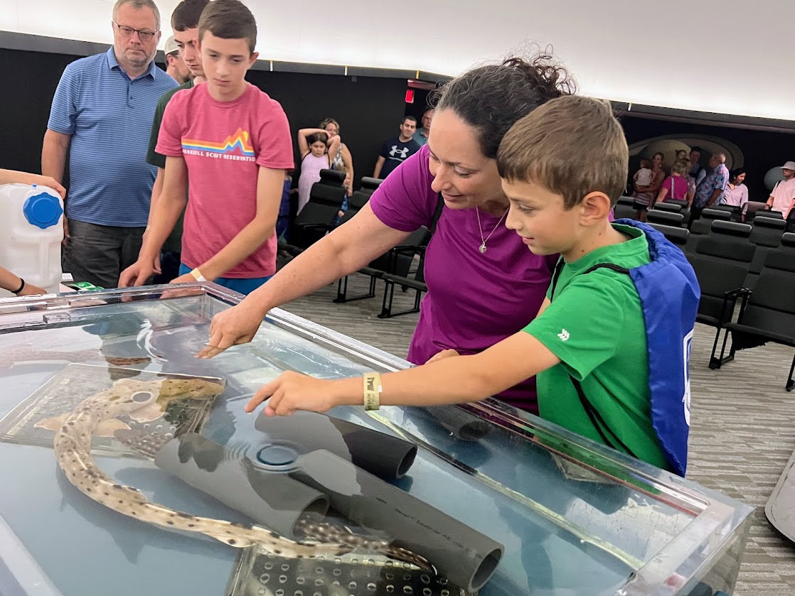 Img 3985 (2) Img 3985 (2)